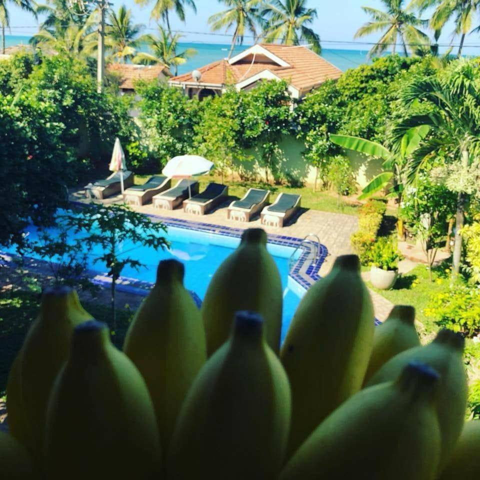 Solomon Beach Hotel Marawila Eksteriør bilde
