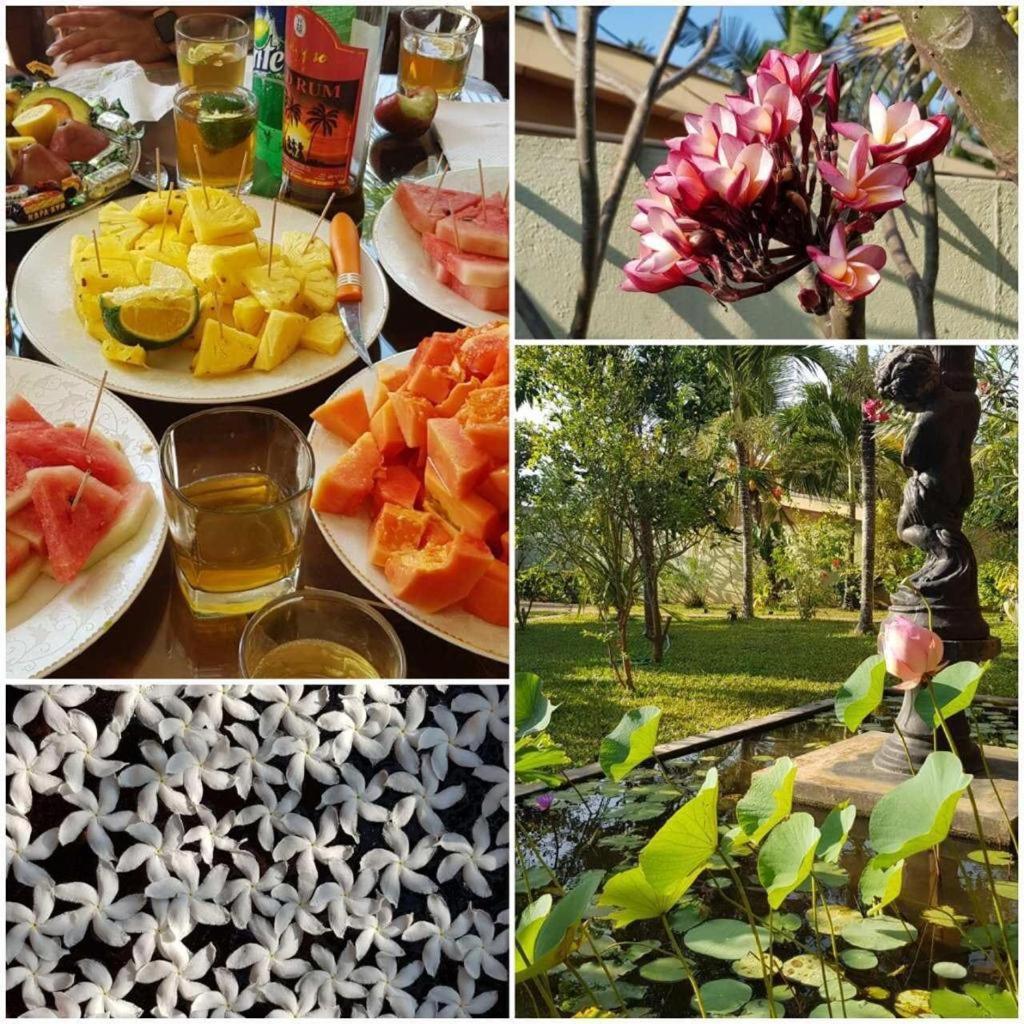 Solomon Beach Hotel Marawila Eksteriør bilde